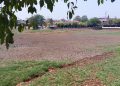 Kondisi danau Cinere yang mengering berada di Pangkalan Jati, Cinere, Depok (Baday)