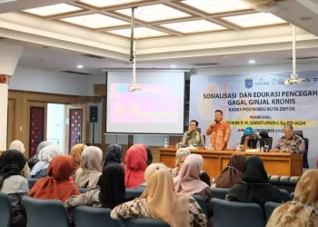 Cegah Gagal Ginjal Kronis, Sekda Depok Sebut Kader Posyandu Punya Peran Ajak Masyarakat Hidup Sehat