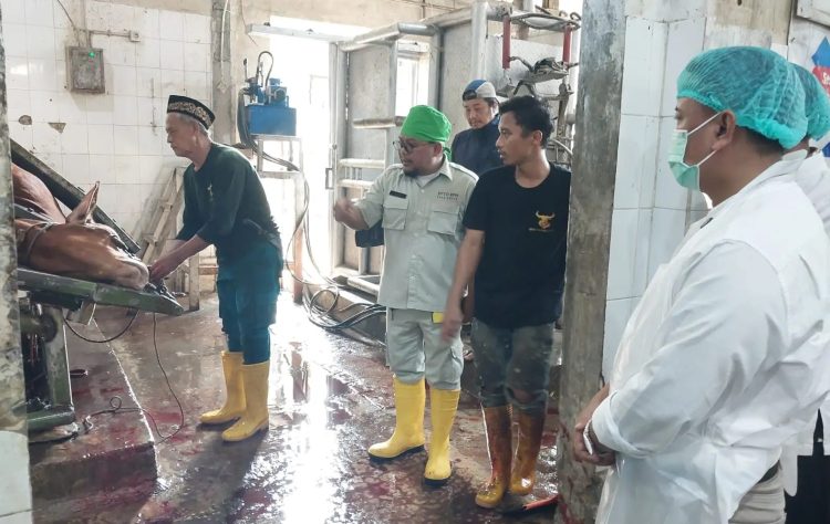 Tinjau RPH Tapos Di Hari Pertama Idul Adha, Wali Kota Depok Dorong Revitalisasi Fasilitas