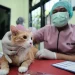 Pemkot Depok Hadirkan Rabies Center